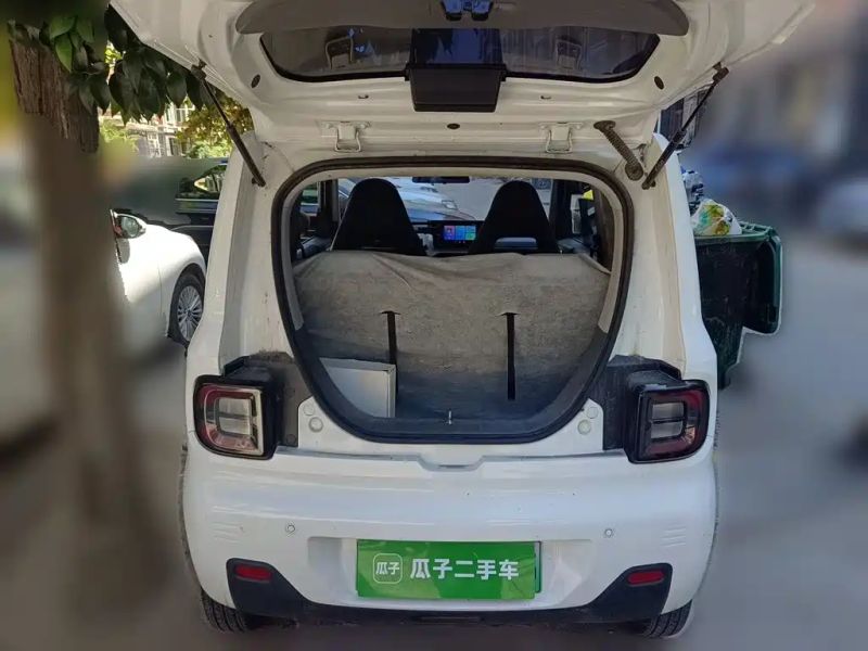 xingyuan pandamini
