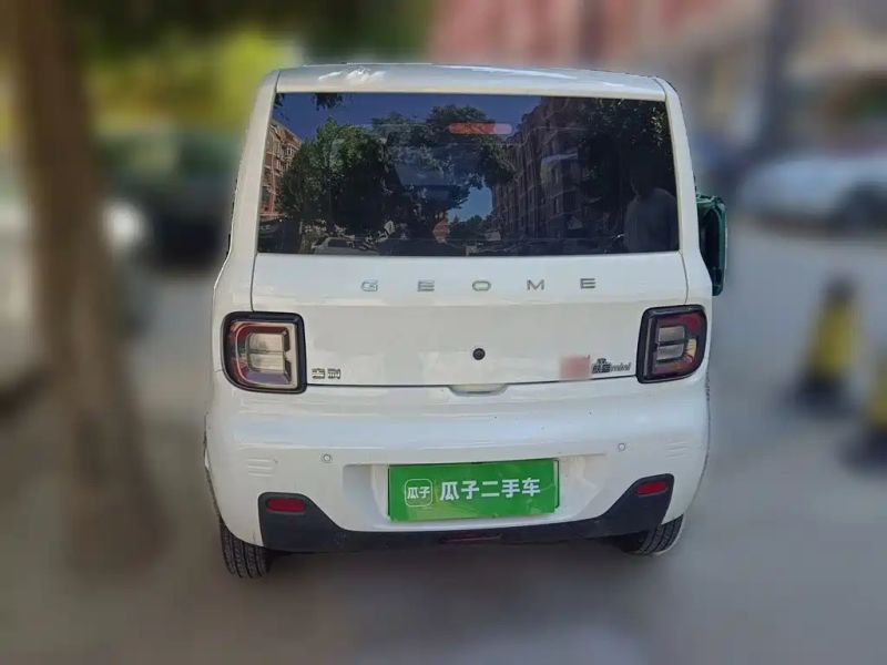 xingyuan pandamini