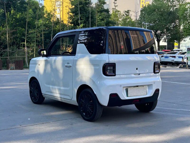 xingyuan pandamini