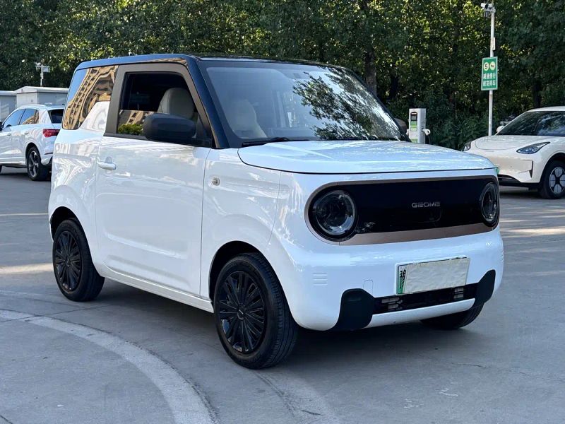 xingyuan pandamini