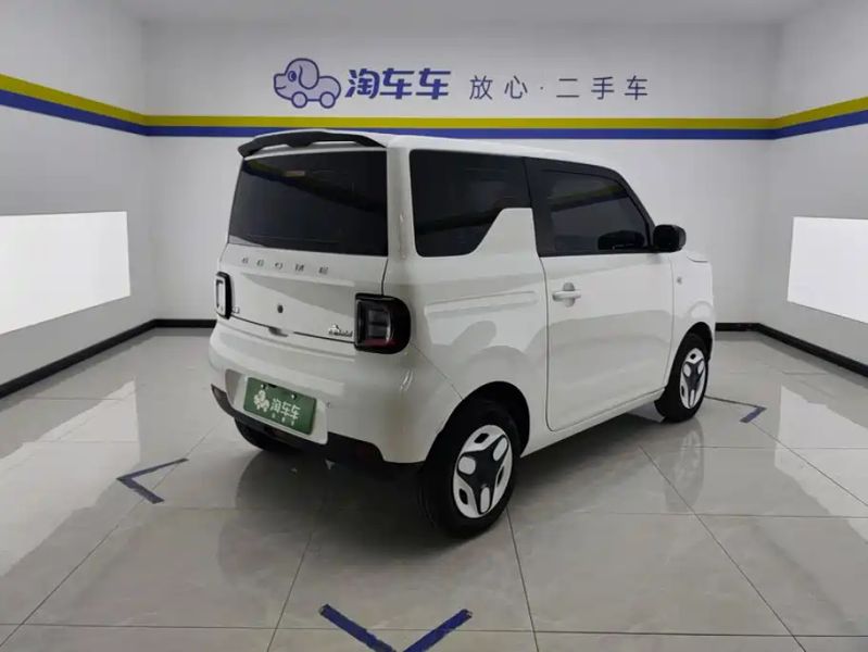 xingyuan pandamini