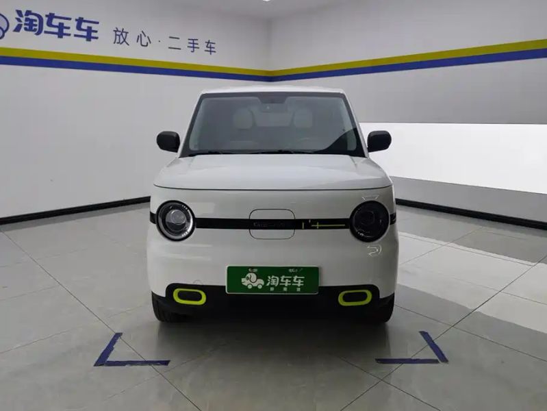 xingyuan pandamini