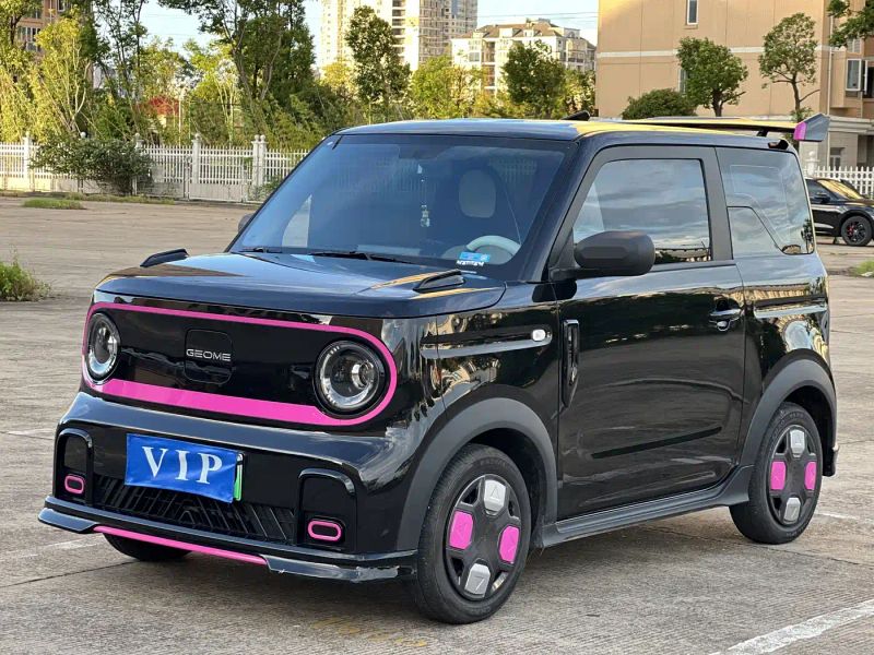 xingyuan panda
