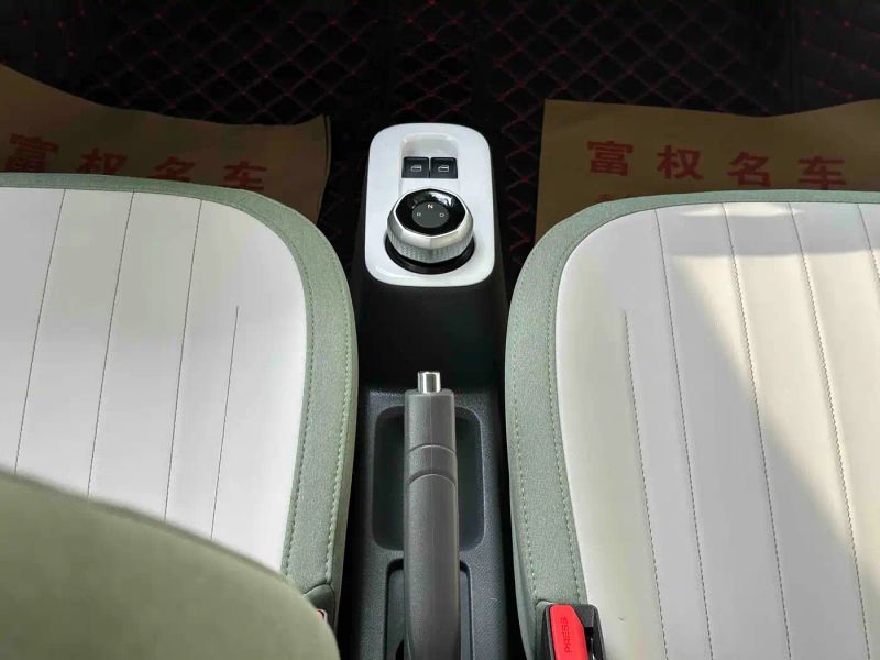 xingyuan panda