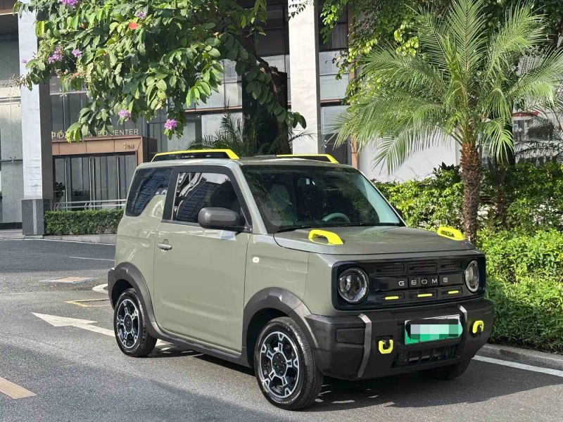 xingyuan panda