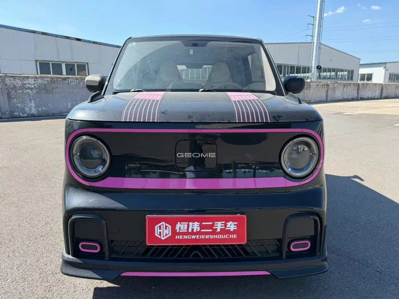 xingyuan panda
