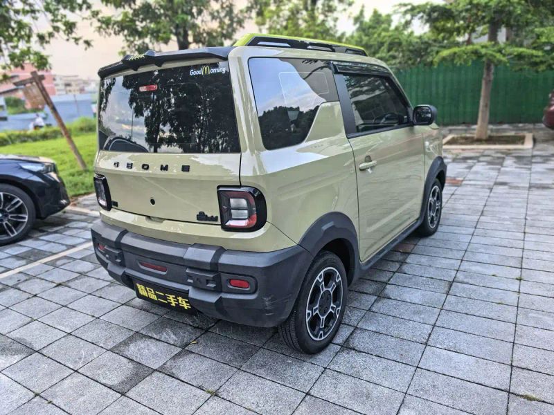 xingyuan panda