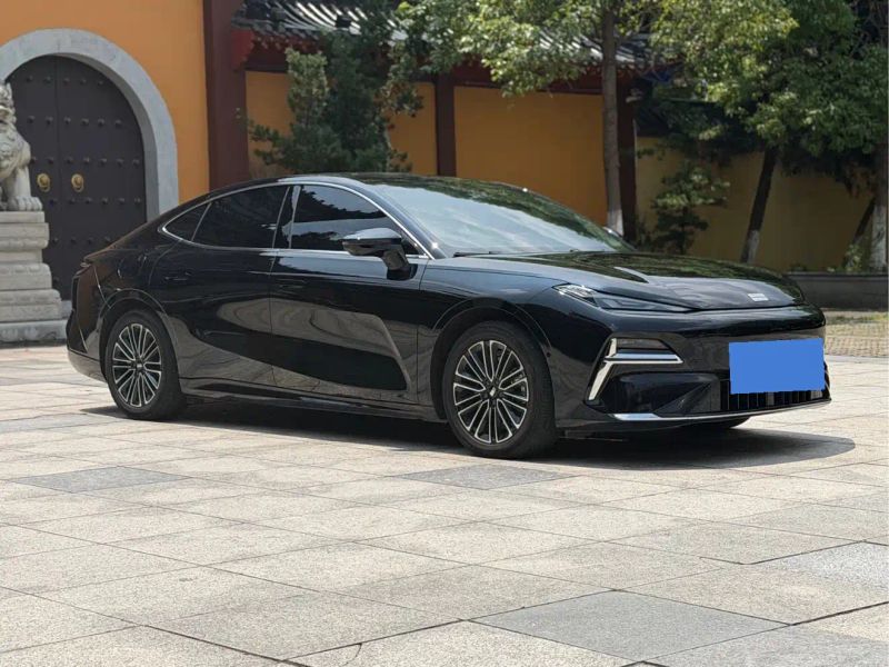 xingyuan starlight8