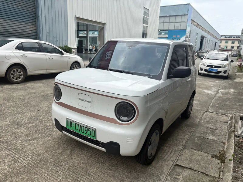 xingyuan pandamini