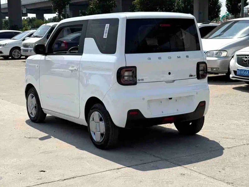 xingyuan pandamini