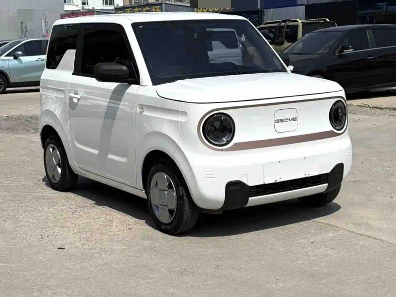 xingyuan pandamini