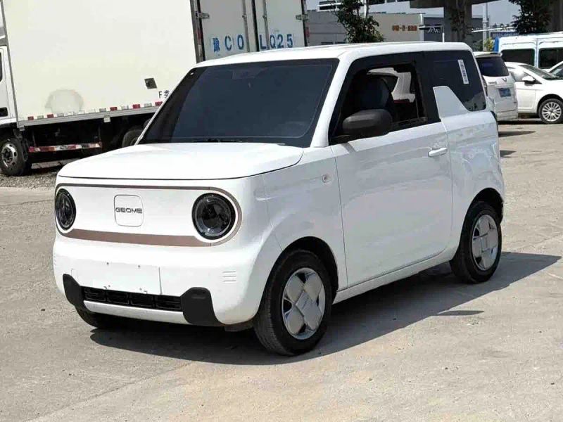 xingyuan pandamini