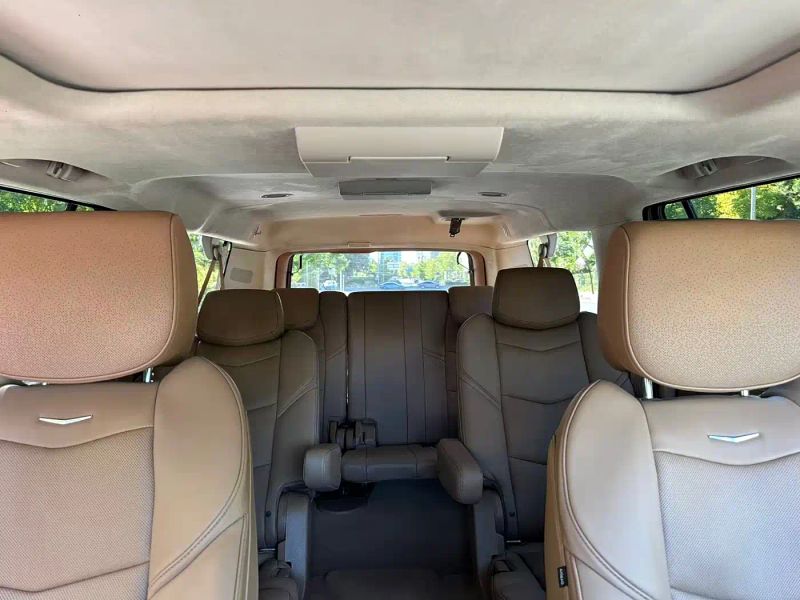 sawei escalade