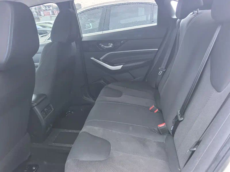 Venucia d60ev