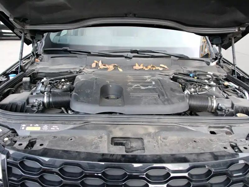 Land_rover land_rover