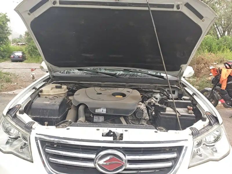Landwind x8