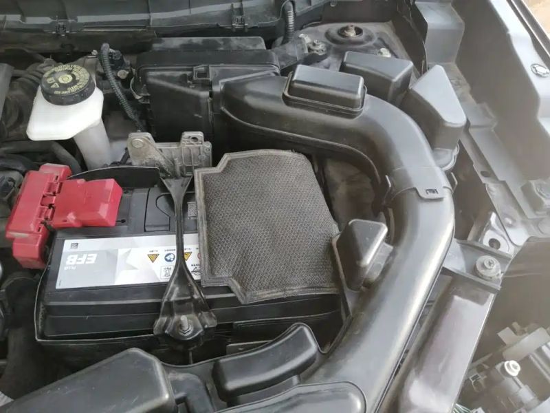 koleos koleos