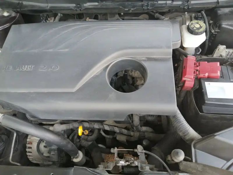 koleos koleos