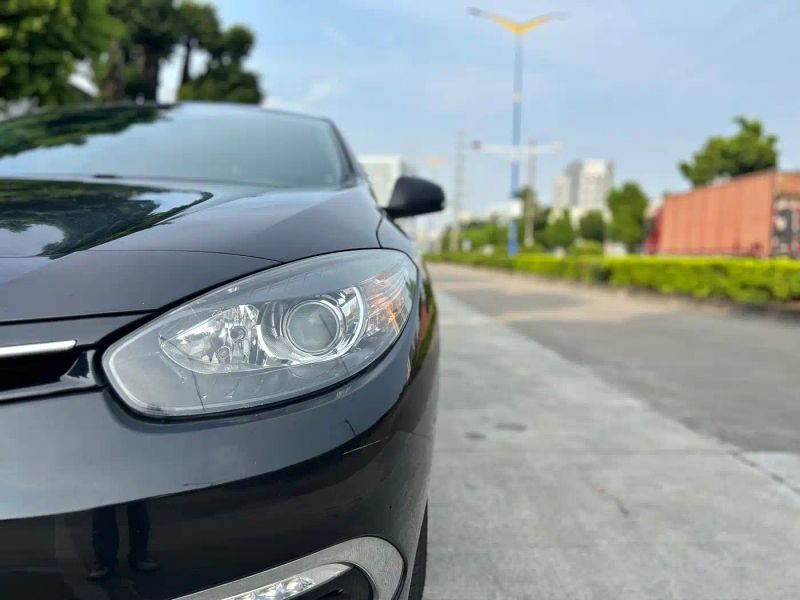 koleos lavida