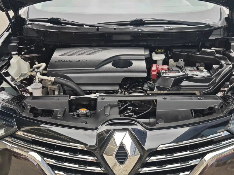 koleos koleos
