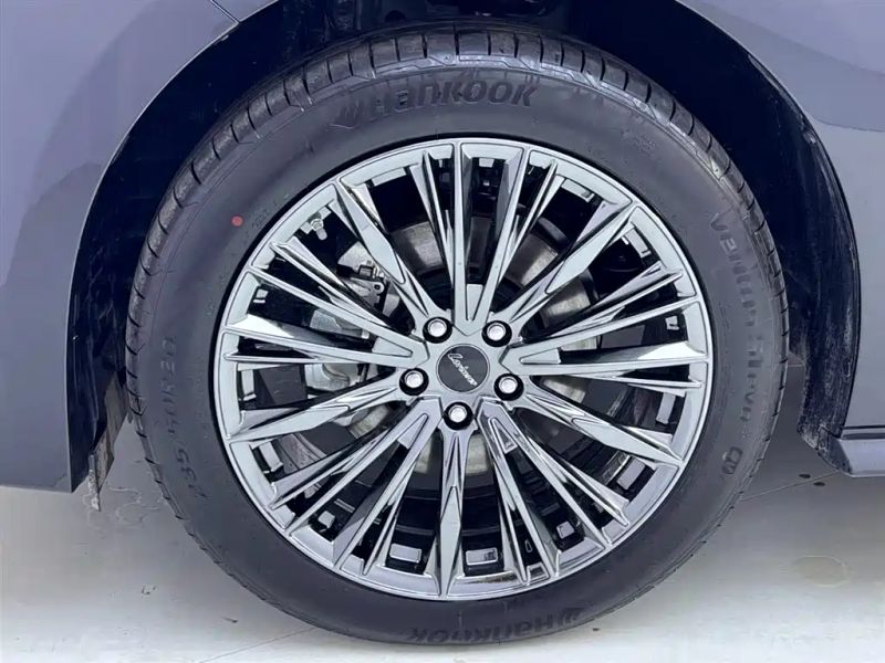 lorinsermaybach greyvia