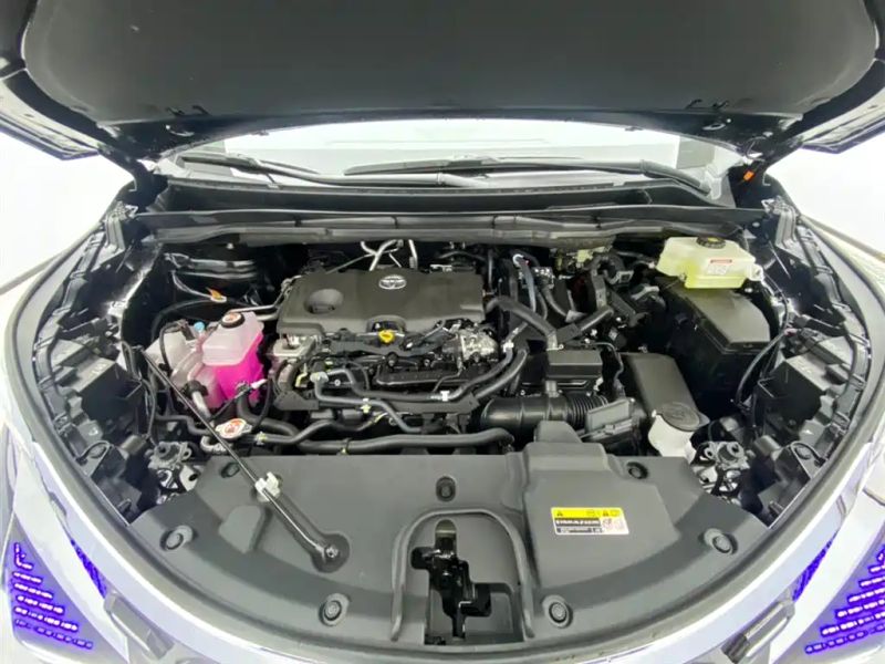 lorinsermaybach greyvia