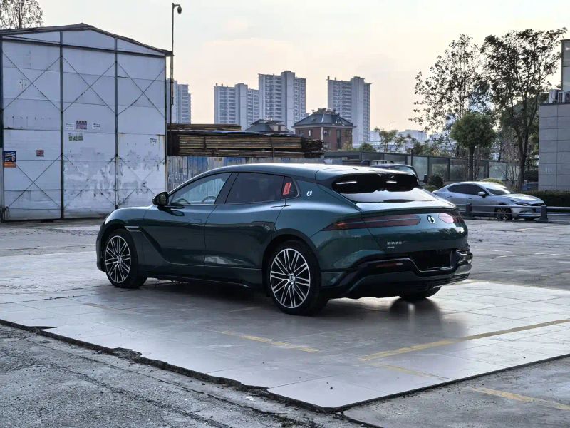 Denza z9gt