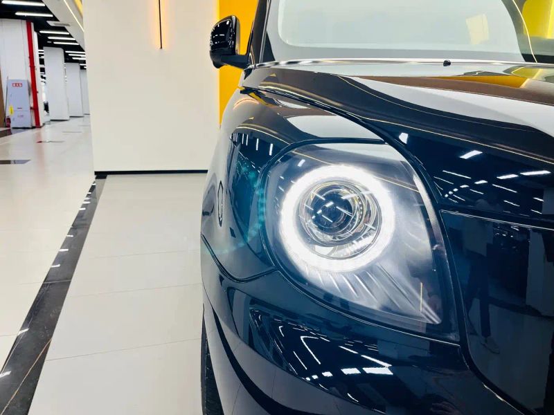 Levc tx