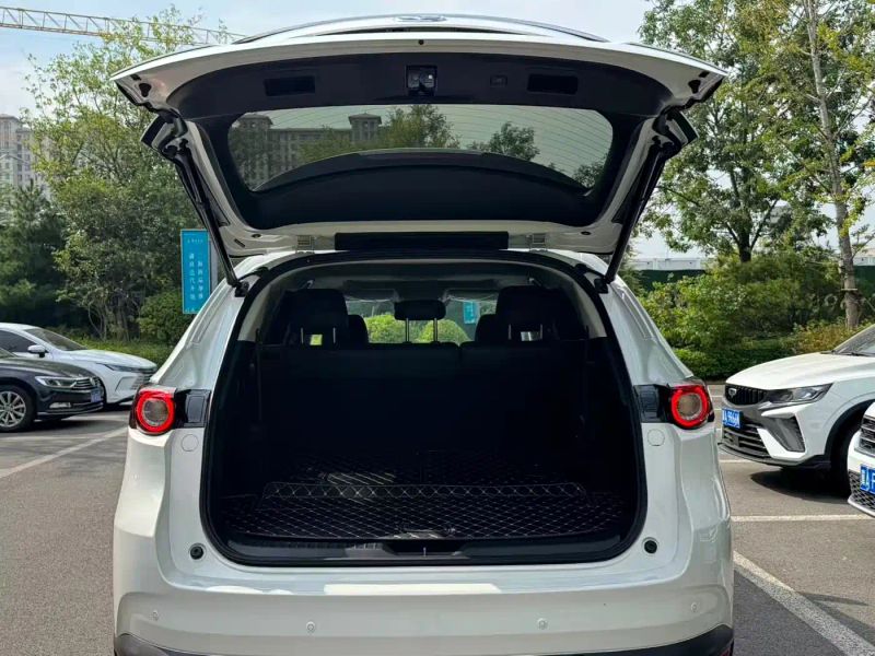 Mazda cx8