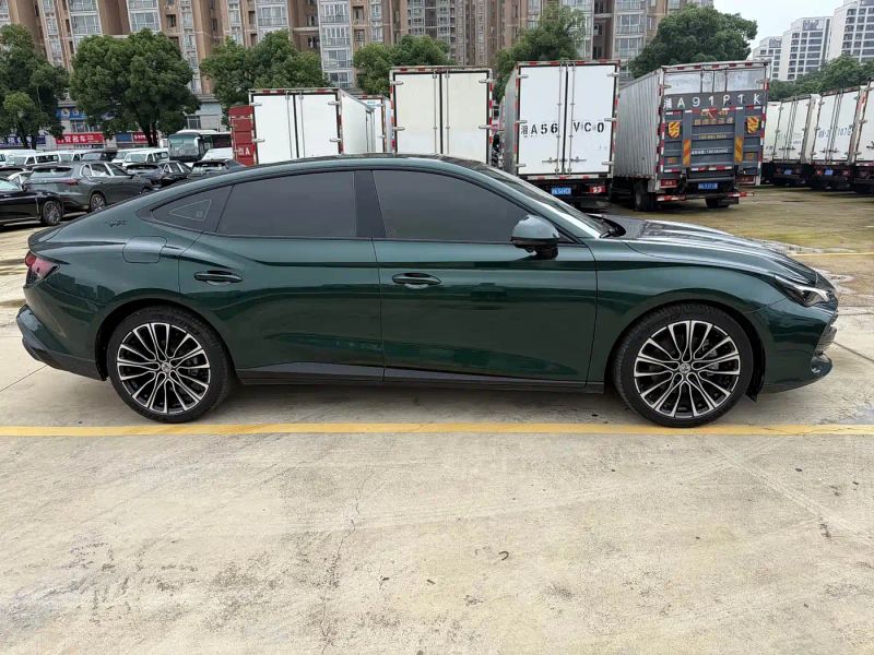 Mg 7