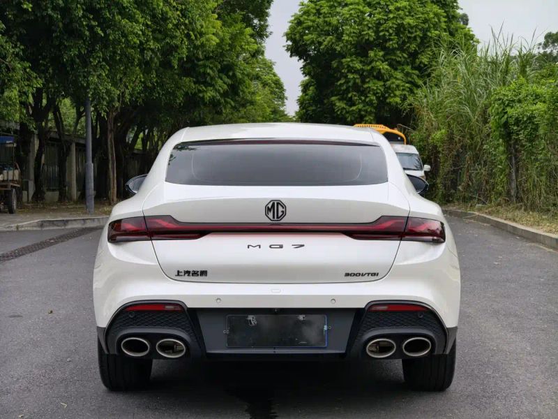Mg 7