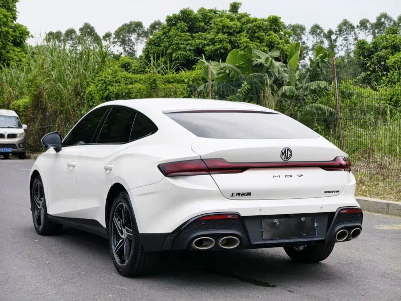 Mg 7