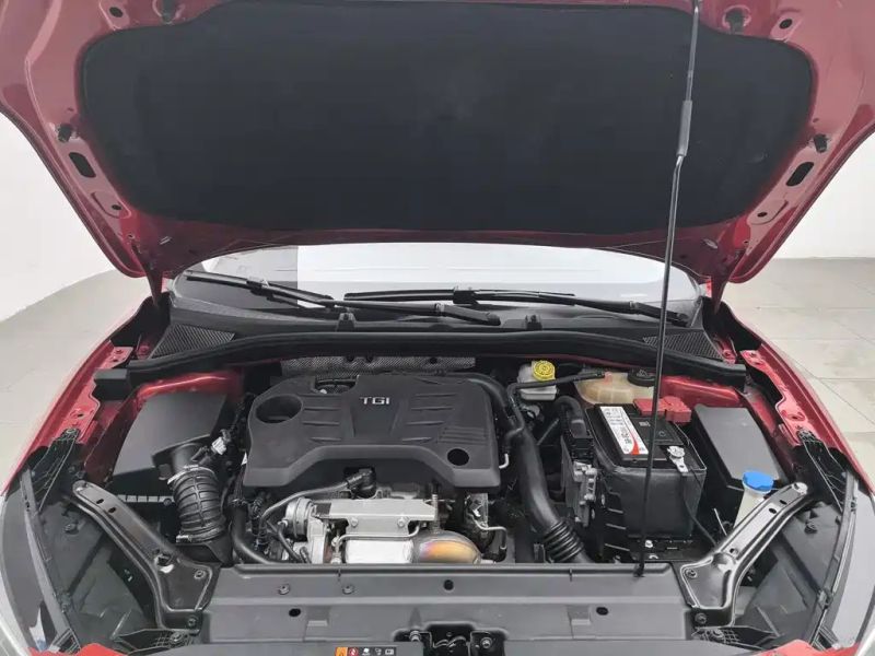 Mg 6