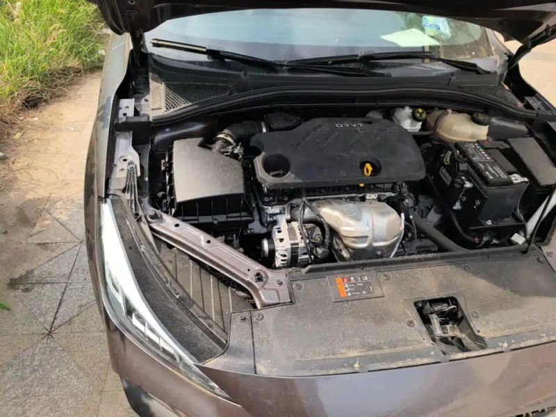 Mg 5