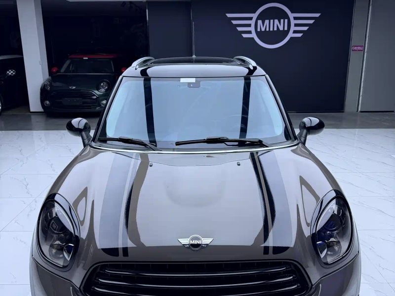 Mini countryman