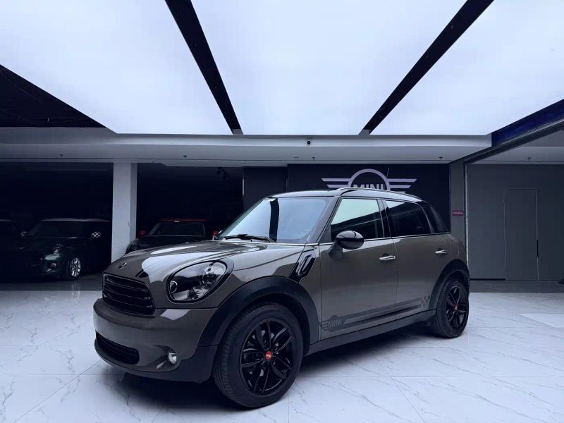 Mini countryman