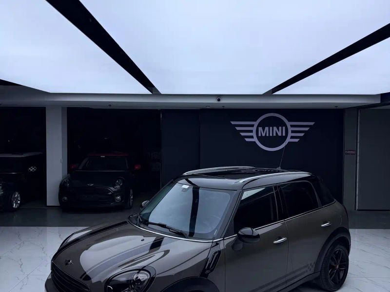 Mini countryman