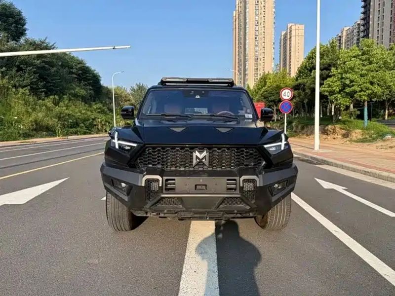 Mengshi suv