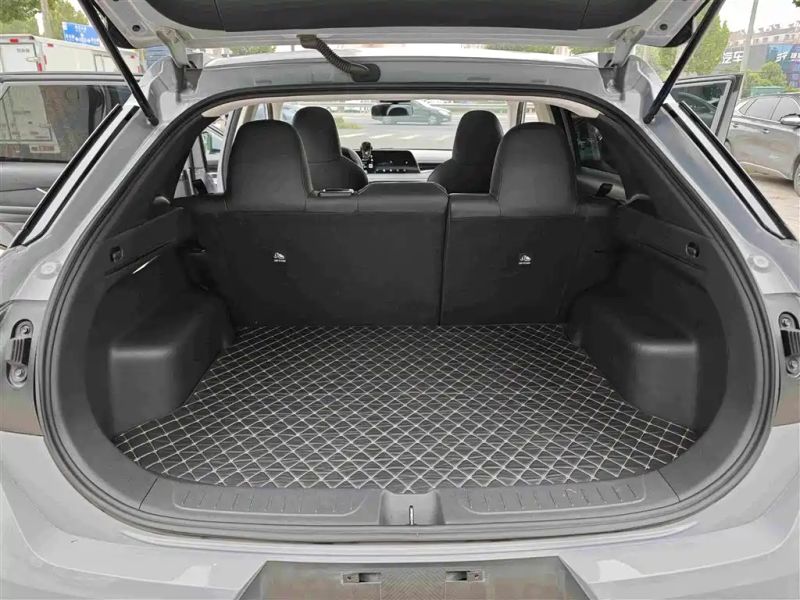 Venucia davi