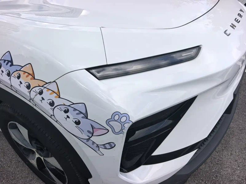 Chery shuxiangjia