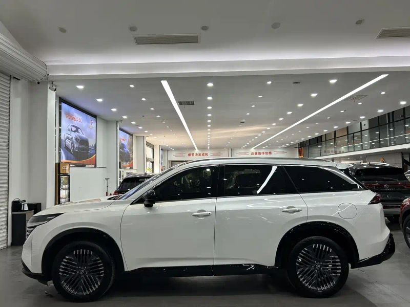 Nissan tannu