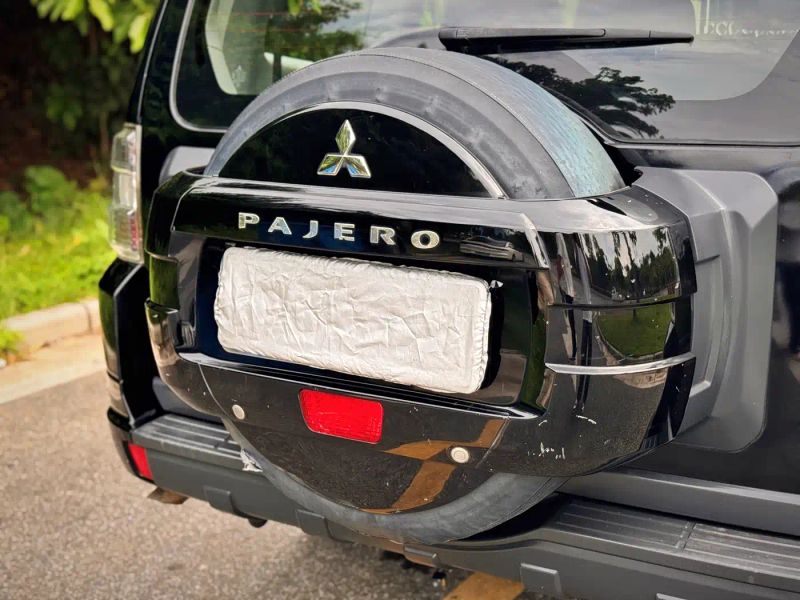 pajaro import