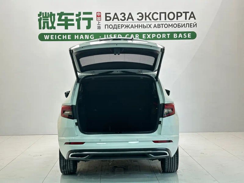 kemike kodiaq