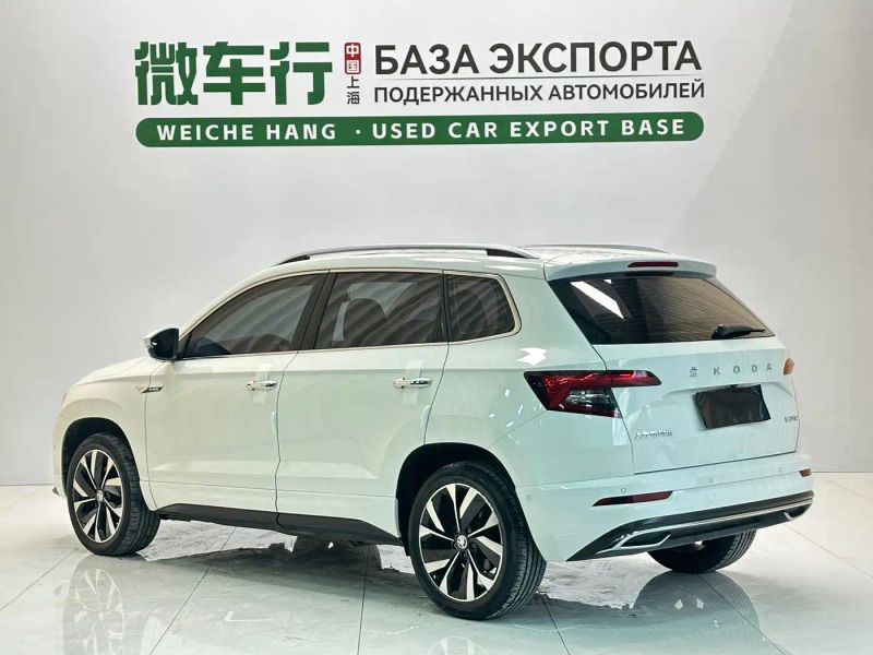 kemike kodiaq