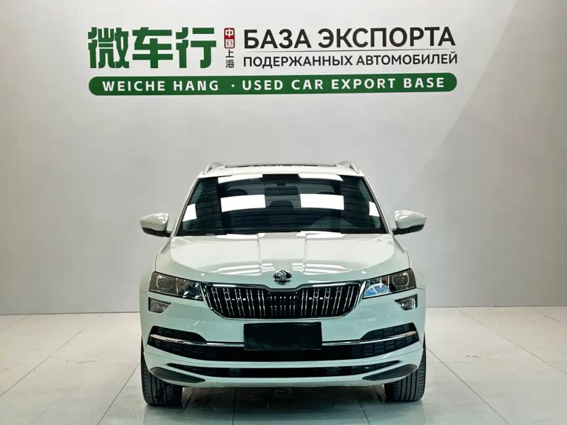 kemike kodiaq