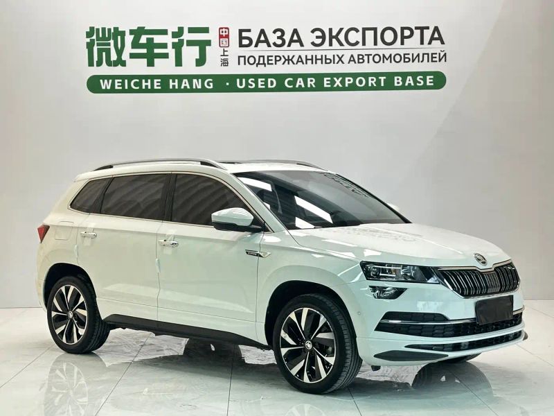 kemike kodiaq