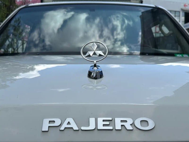 pajaro pajeros