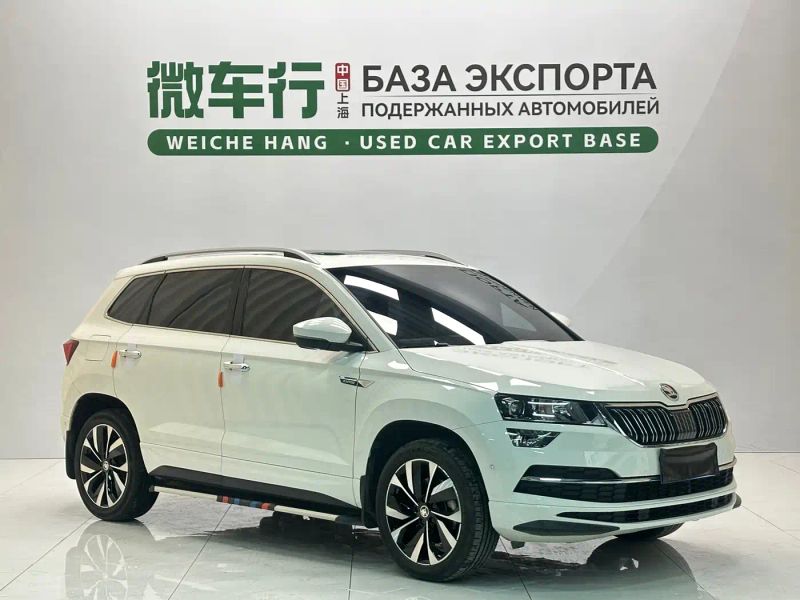 kemike kodiaq