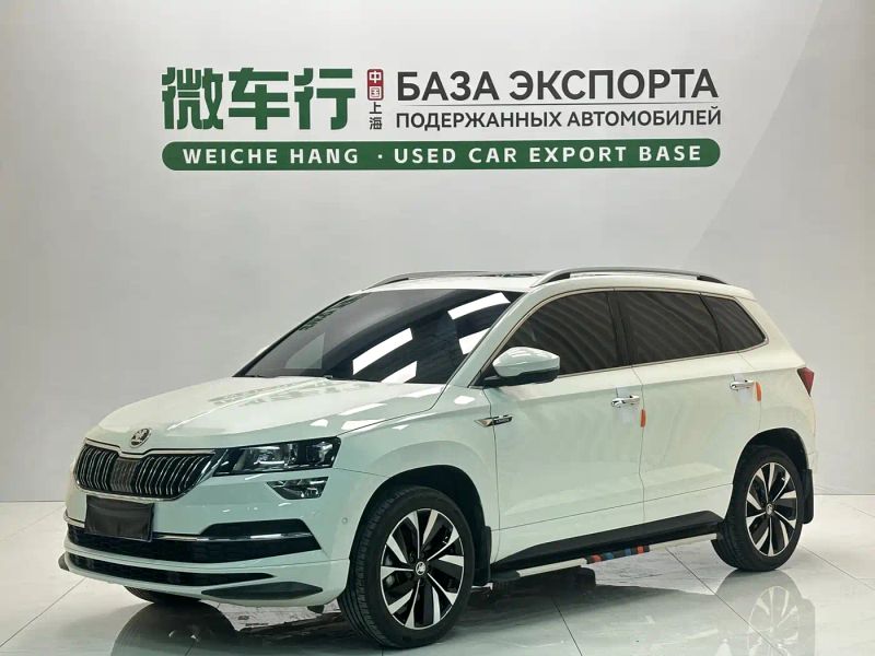 kemike kodiaq