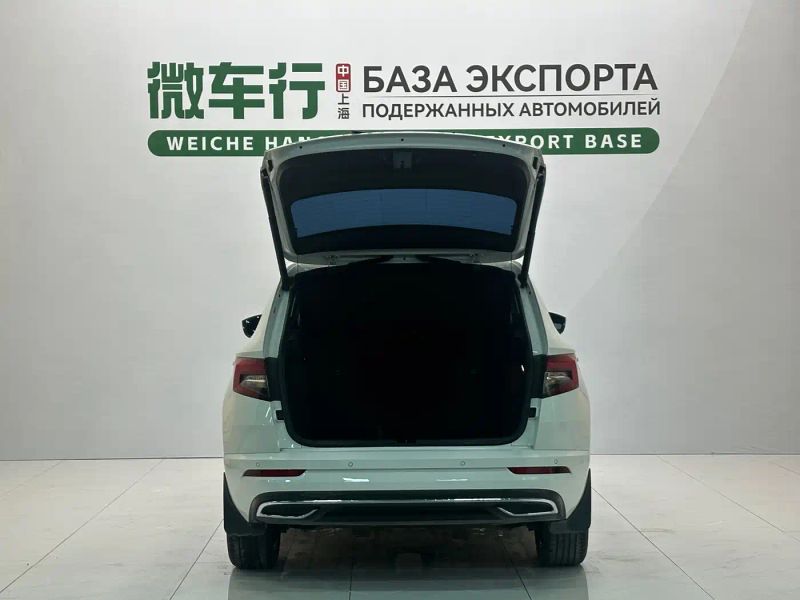kemike kodiaq